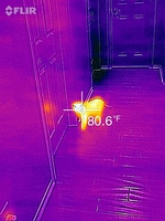 Thermal image of cat in hallway.